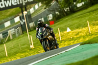 Evening Low_Mid Group Black Bikes